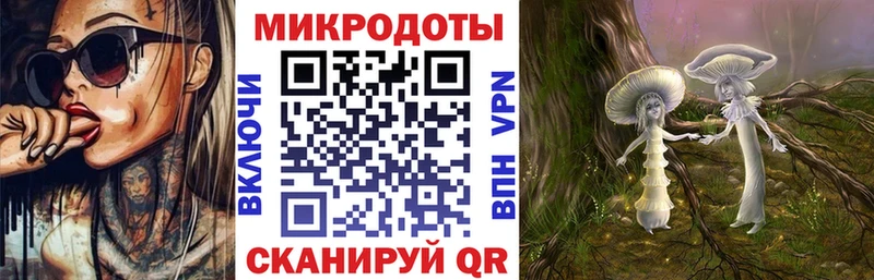 Галлюциногенные грибы Psilocybe  ссылка на мегу   Каргополь  продажа наркотиков 